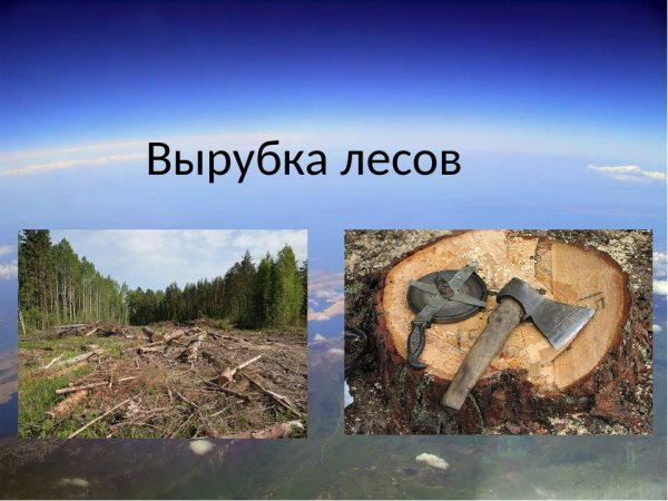 Пожар в лесу и звери
