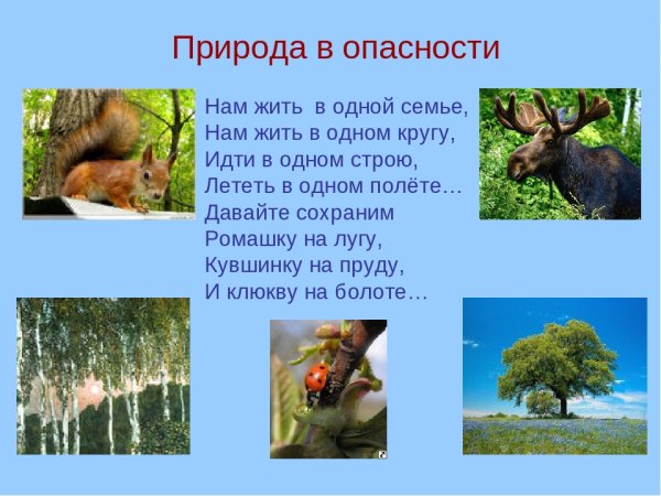 Природа в опасности