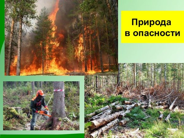 Плакат на тему экология