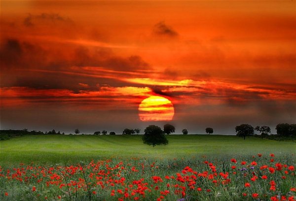 Красный закат природа