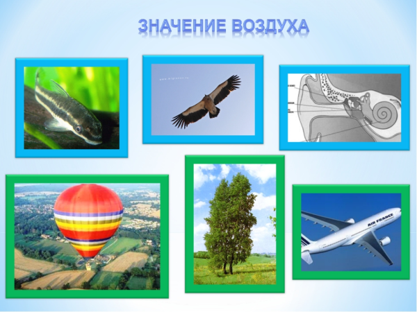 Значение воздуха
