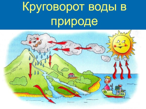 Климат воздуха в картинках для детей