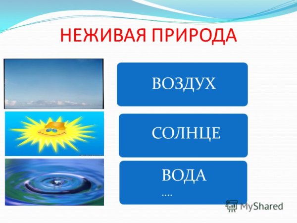 Неживая природа