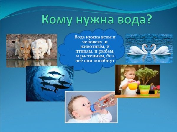 Проект волшебница вода