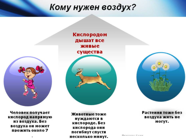 Кому нужен воздух
