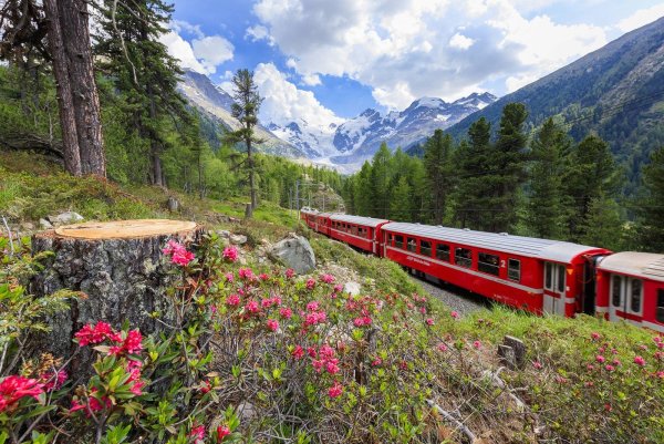 Поезд Bernina Express