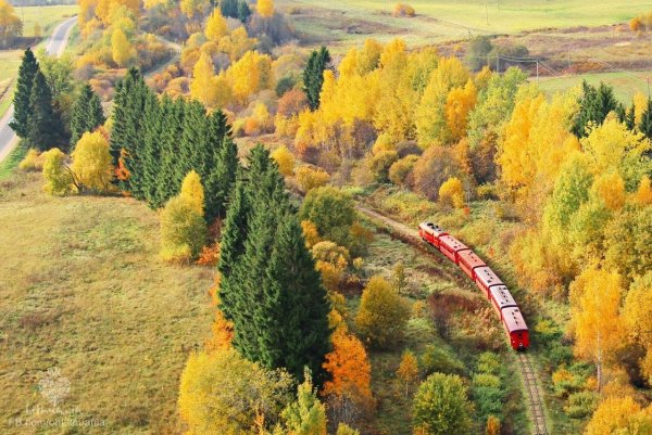 Золотая осень в Сигулде