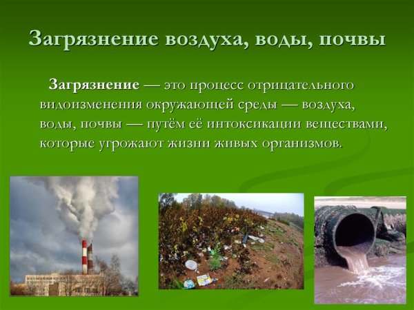 Экология человека