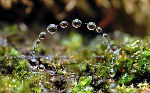 Красивые снимки воды