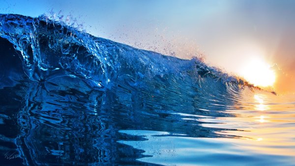 Экология воды