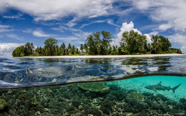 Вода со льдом