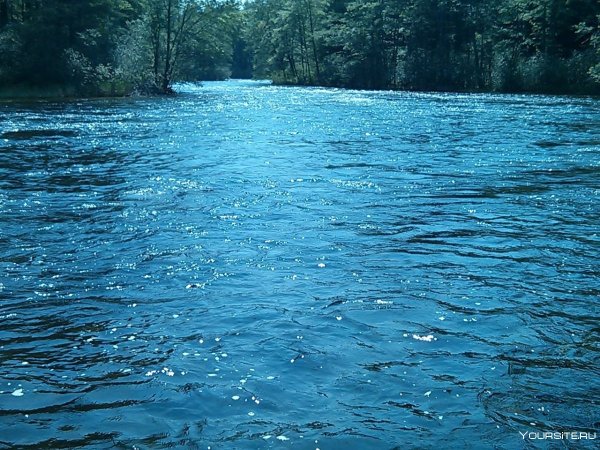 Вода источник жизни