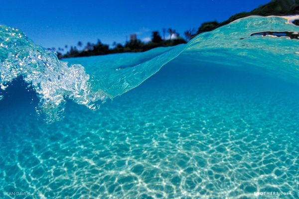 Чистая вода источник жизни