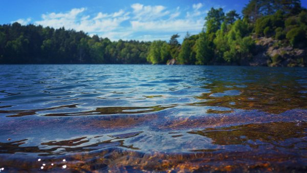 Сохранение водных ресурсов