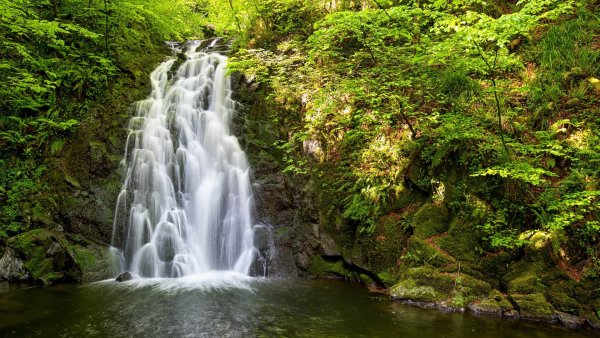 Вода источник жизни