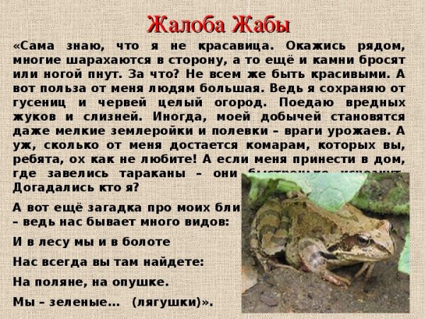 Жалобы животных