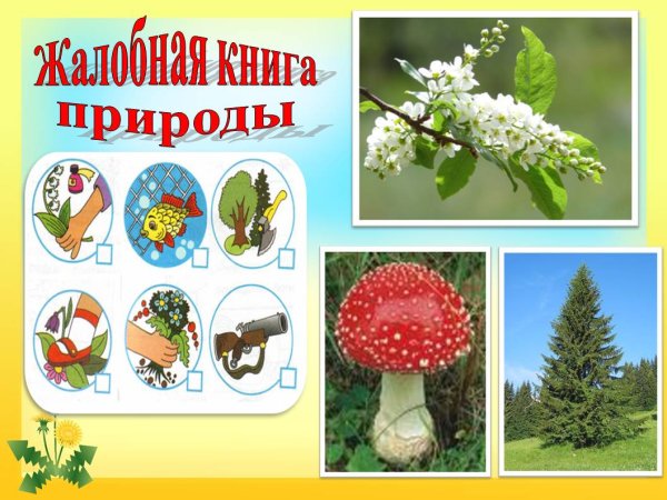 Жалобная книга природы