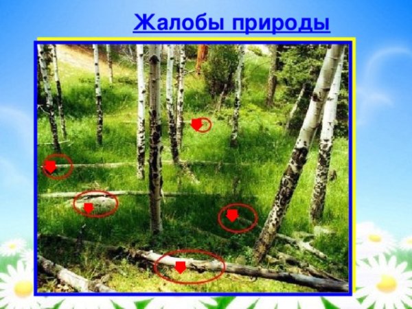 Книга жалоб природы для дошкольников