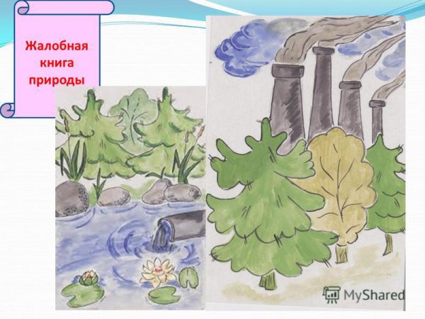 Жалобная книга природы в картинках для детей