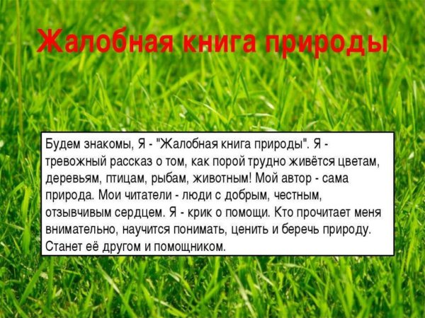 Жалобы от животных