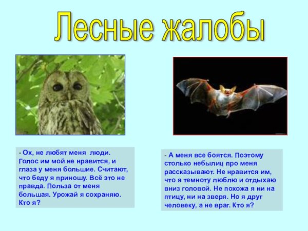 Жалобная книга природы в детском саду