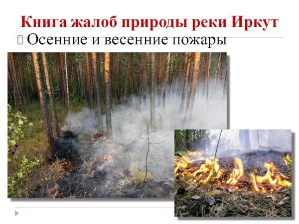 Книга жалоб природы для дошкольников