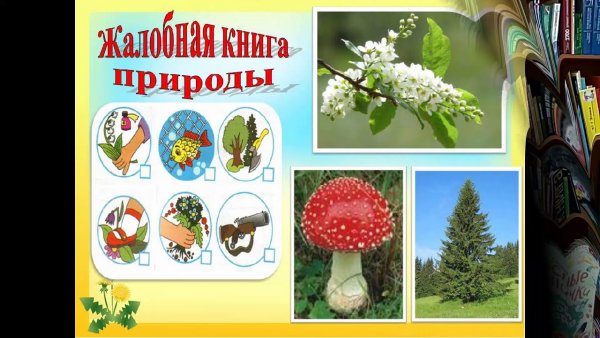 Жалобная книга природы