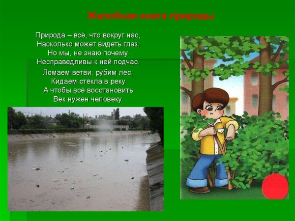Жалобная книга природы