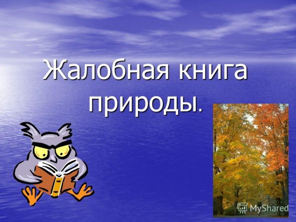Жалобная книга природы в детском саду