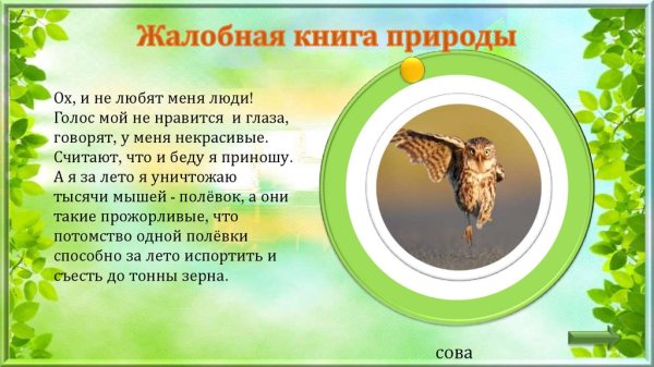 Жалобы от природы