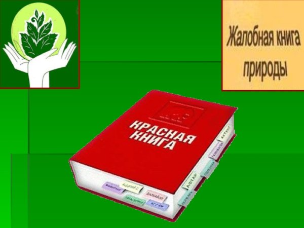 Проект Жалобная книга природы