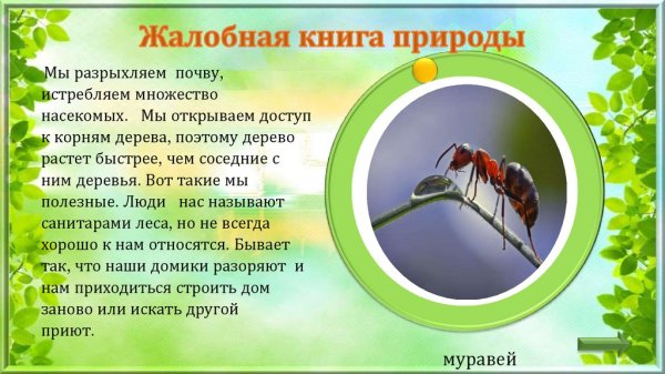 Птицам голодно зимой