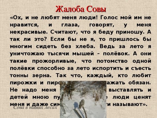 Жалобная книга природы бабочки