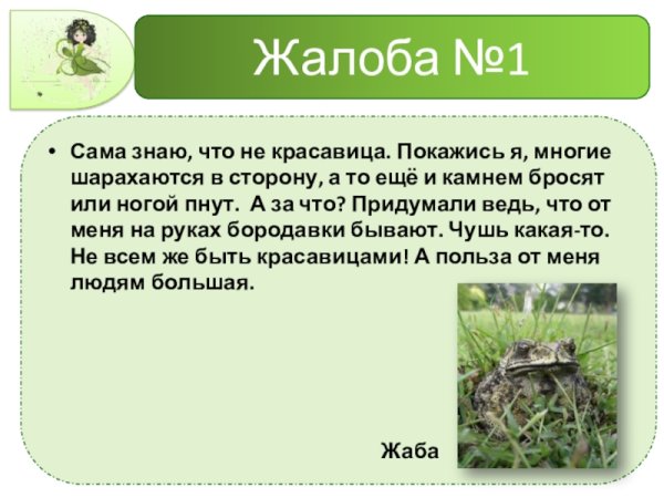 Проект Жалобная книга природы