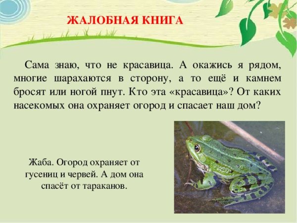 Жалобная книга природы в детском саду картинки