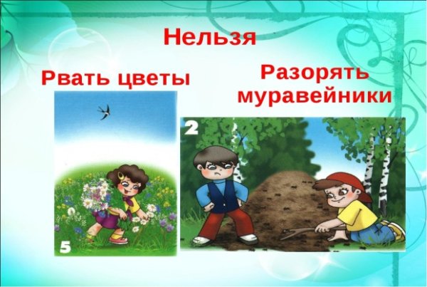 Книга жалоб природы
