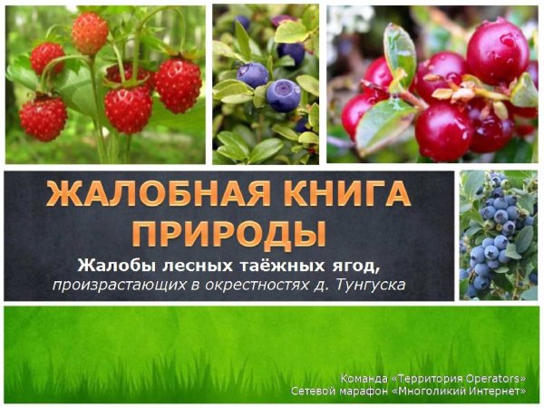 Жалобная книга природы в детском саду