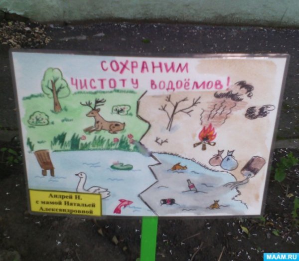 Жалобная книга природы рисунок