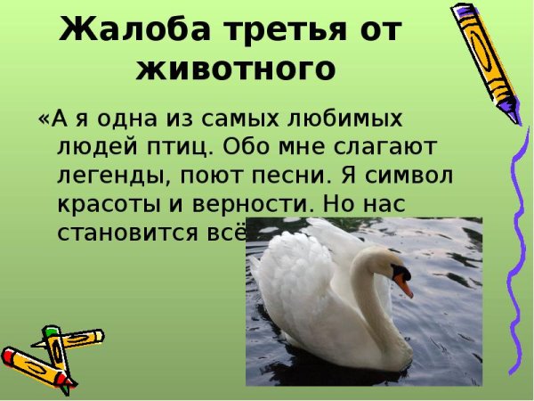 Жалобная книга природы