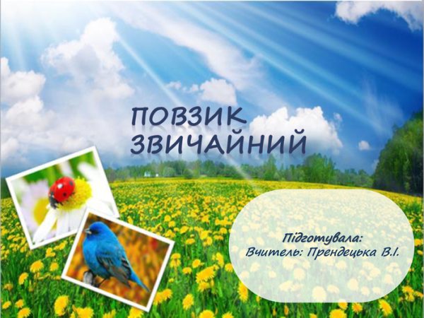 Жалобы животных для детей