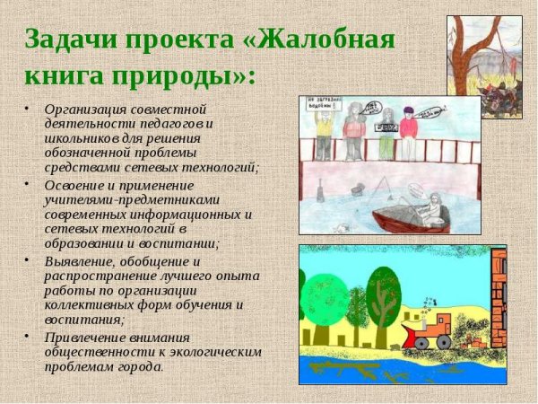 Жалобная книга дерева