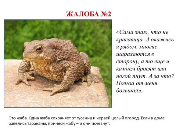 Жалобная книга животных