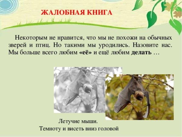 Рисунки на тему Жалобная книга природы
