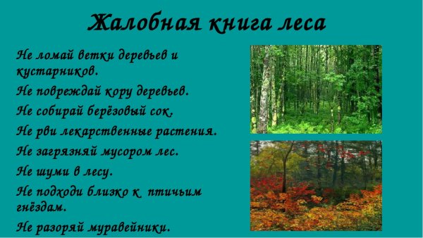 Жалобы животных