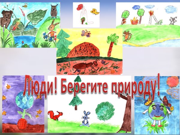 Проект Жалобная книга природы