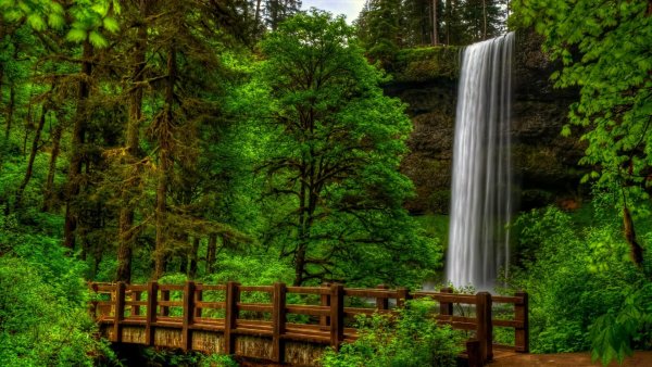 Фотообои на стену природа с водоемом