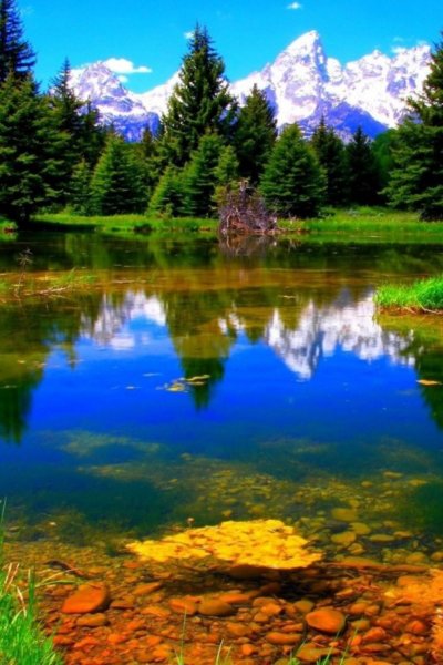 Природа лес водопад