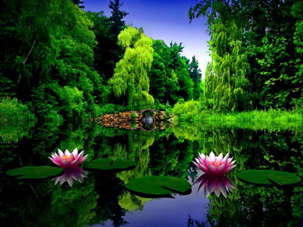 Красивая природа на телефон
