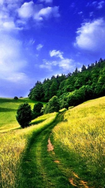 Красивый фон природа