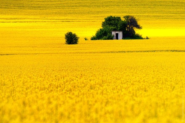Красота природы